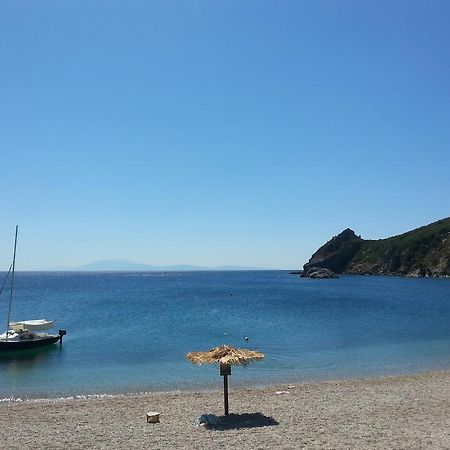 Elena Studios Τάρτη Εξωτερικό φωτογραφία