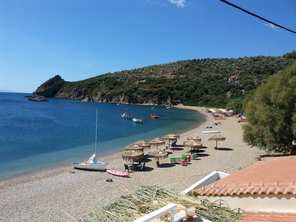 Elena Studios Τάρτη Εξωτερικό φωτογραφία