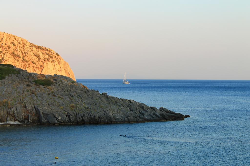 Elena Studios Τάρτη Εξωτερικό φωτογραφία
