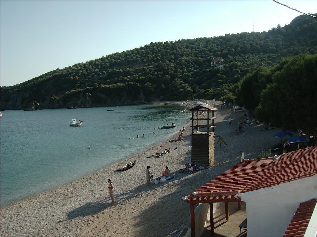 Elena Studios Τάρτη Εξωτερικό φωτογραφία