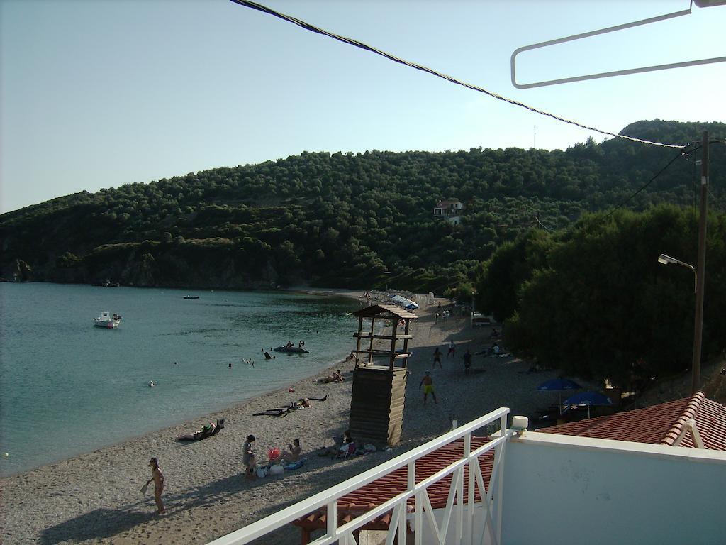 Elena Studios Τάρτη Εξωτερικό φωτογραφία