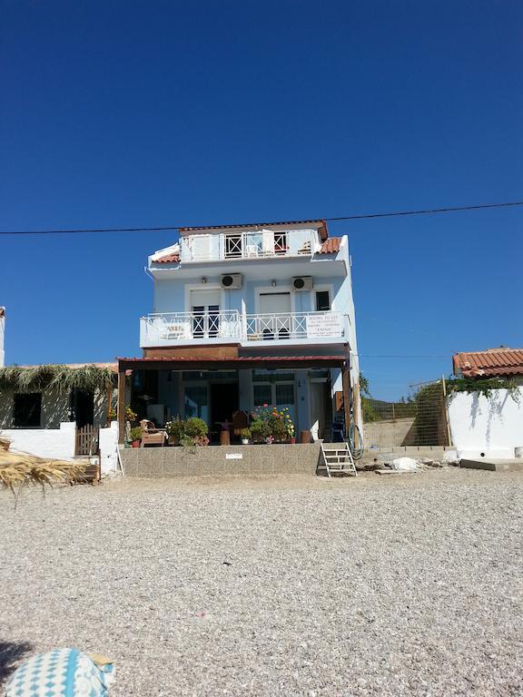 Elena Studios Τάρτη Εξωτερικό φωτογραφία
